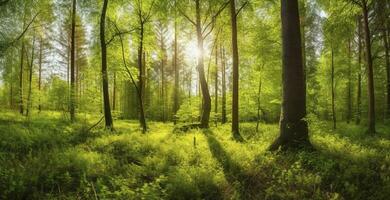 Beautiful rays of sunlight in a green forest, generate ai photo