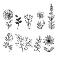 Hand drawn set flowers and branches doodle. Black and white vector illustration sketch. EPS10