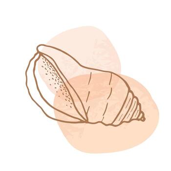 Hand-drawn in the style of doodles, a seashell spiral with a texture of many dots, an isolated black outline on white background. vector