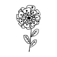 Hand drawn flower and branches doodle. Black and white vector illustration sketch. EPS10