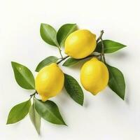 Branch of juicy lemons with leaves isolated on white background, generate ai photo