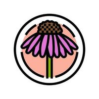 cone flower cosmetic plant color icon vector illustration