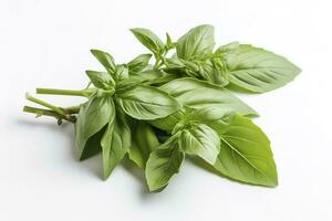 Fresh green organic basil and rosemary leaves isolated on white background. With clipping path, generate ai photo