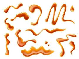 Caramel syrup swirl, splash drips, toffee stains vector