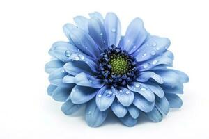 Blue flower isolated on white background, png with transparency , generate ai photo