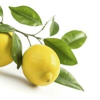 Branch of juicy lemons with leaves isolated on white background, generate ai photo