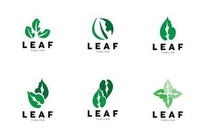 Green Leaf Logo, Ecology Natural Plant Vector, Nature Design, Illustration Template Icon vector