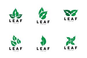 Green Leaf Logo, Ecology Natural Plant Vector, Nature Design, Illustration Template Icon vector