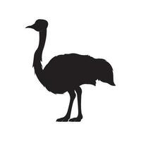 avestruz icono vector ilustración sencillo diseño