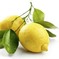 Branch of juicy lemons with leaves isolated on white background, generate ai photo