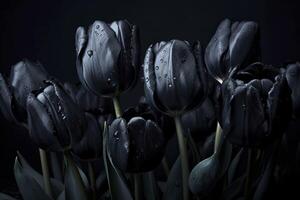 Black tulips on black background. Minimalistic contemporary bunch of elegant spring flowers. image. photo