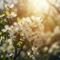 Spring blossom background. Beautiful nature scene with blooming tree and sun flare , generat ai photo