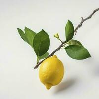 Branch of juicy lemons with leaves isolated on white background, generate ai photo