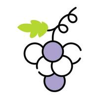 Trendy Grapes Bunch vector