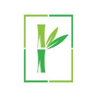 Bamboo with green leaf logo ilustration vector template