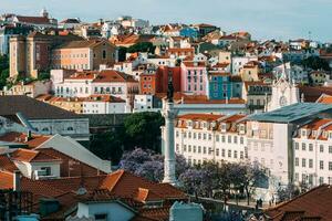 High perspective view of Rossio Square in Baixa district of Lisbon city, Portugal covered with violet Jacaranda leaves photo