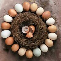 Various Color Raw Chicken and Duck Eggs on Bird Nest photo