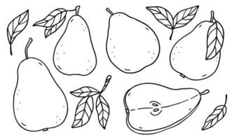 Set of pears with leaves isolated on white background. Vector hand-drawn illustration in outline style. Perfect for cards, decorations, logo, menu, recipes, various designs.