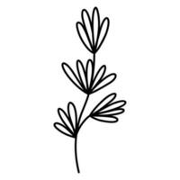 Cute branch with leaves isolated on white background. Vector hand-drawn illustration in doodle style. Perfect for cards, logo, decorations, various designs. Botanical clipart.