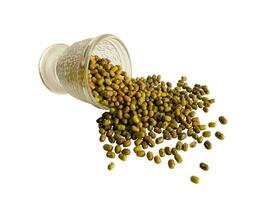 Green moong dal mung beans scattered on white background with a small cup of glass photo