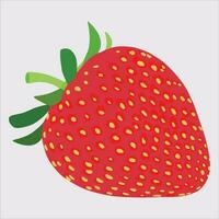 A beautiful strawberry fruit. Vector artwork.