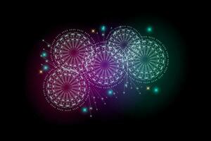 Large Fireworks Display vector