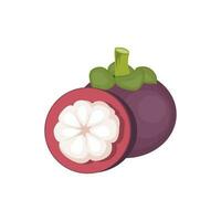 Mangosteen Logo, Health Fruit Design, Garden Farmer Vector, Symbol Element Template vector