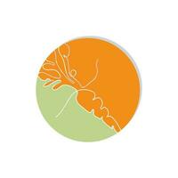 Carrot Logo, Vector Garden Farm Carrot Vegetables, Line Design, Template Illustration