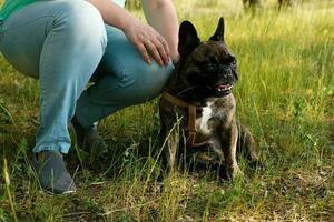 girl with french bulldog on a sunny day in the park photo