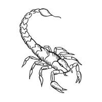 Scorpion vector hand drawn insect illustration. Line drawing with hatching on isolated white background for print, tattoo, t-shirt design, template, design element