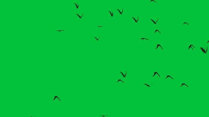 Green Screen Animation Stock Video Footage for Free Download