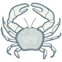 Crab Engraving Illustration. Vintage vector illustration