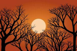 Sunset background with bare trees in silhouette vector