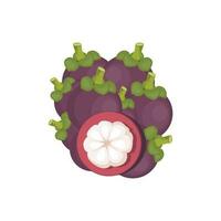 Mangosteen Logo, Health Fruit Design, Garden Farmer Vector, Symbol Element Template vector