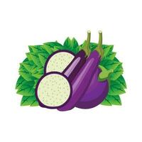 Eggplant Logo, Cooking Ingredients Vector, Farmer Garden Farmer, Illustration Template vector