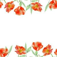 Watercolor seamless frame of poppieas red meadow flowers background for decor vector