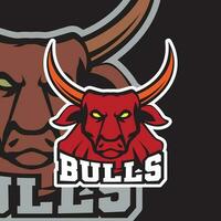 Red Bulls head mascot logo for sports vector