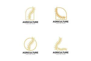 Rice Logo, Farm Wheat Logo Design, Vector Wheat Rice Icon Template Illustration