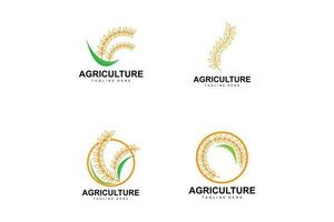 Rice Logo, Farm Wheat Logo Design, Vector Wheat Rice Icon Template Illustration