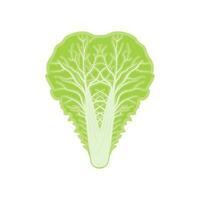 diseño del logotipo de kimchi, vector de comida tradicional coreana, ilustración del logotipo de verduras verdes de repollo, icono de la marca de la empresa