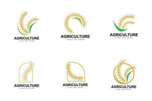 Rice Logo, Farm Wheat Logo Design, Vector Wheat Rice Icon Template Illustration