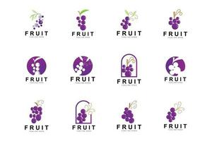 Grape Logo, Farm Fruit Vector, Fresh Purple Fruit Design, Grape Product Icon, Fruit Shop vector