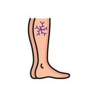 Varicose veins, leg with vascular net outline icon vector