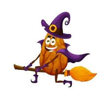 Cartoon halloween witch almond character on broom vector