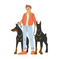 Man with two large dogs on a leash. Dobermans with their owner. Cartoon style. Vector illustration isolated on white.