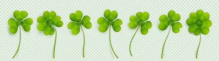 Realistic 3D clover leaves set vector