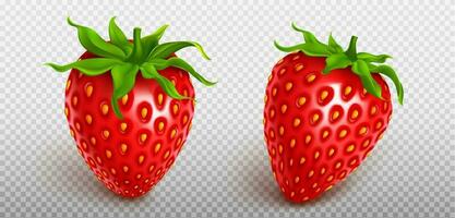 3d fly realistic isolated strawberry fruit icon vector