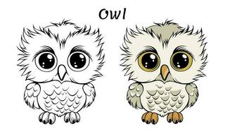 Cute Owl Animal Coloring Book Illustration vector