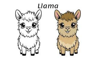 Cute Llama Animal Coloring Book Illustration vector