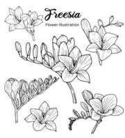 Flowers Coloring Book Hand Drawn Illustration vector